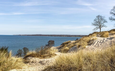 Terttu - 250M from the Sea: Hout, Huis, Veranda, Dek, Hardwood, Dak, Beits, Houten Vloer, Eco Hotel