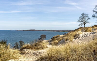 Terttu - 250M from the Sea