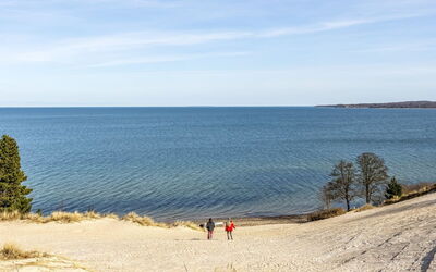 Terttu - 250M from the Sea