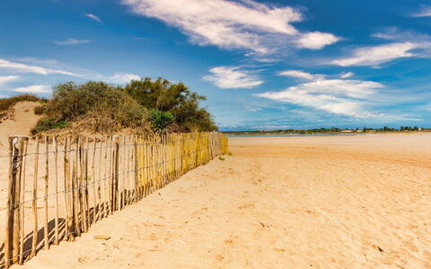 La Dune: Lucht, Blauw, Dag, Natuurlijke Omgeving, Horizon, Strand, Wolk, Zand, Ecoregio, Zomer
