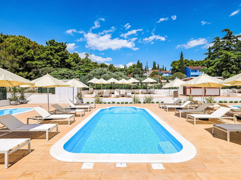 Accommodatie:&nbsp;Medena 251.2