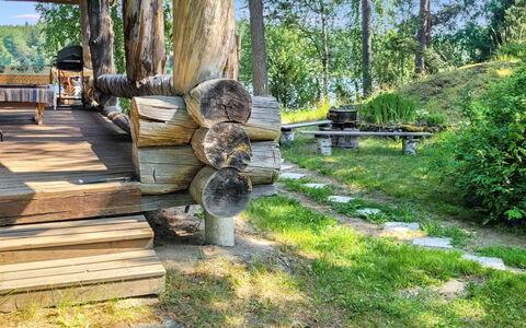 Kelokki: Boom, Hout, Tuin, Hardwood, Landscaping, Backyard, Bos, Schaduw, Timmerhout