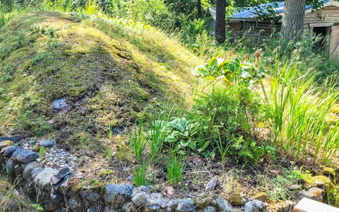 Kelokki: Vegetation, Struik, Plantengemeenschap, Groundcover, Tuin, Bodem, Kruidachtige Plant, Landscaping, Backyard