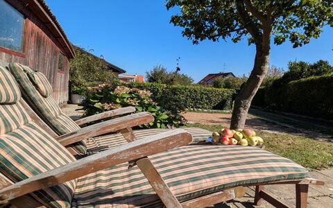 Taja - 170M from the Sea: Meubilair, Buitenmeubels, Hout, Stoel, Tuin, Schaduw, Buitentafel, Groundcover, Ligstoel, Hardwood