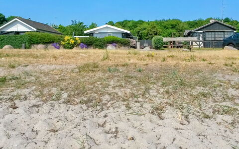 Cornelius - 30M from the Sea: Gras, Grasland, Land Lot, Verblijf, Landelijk Gebied, Weide, Garden Gebouwen, Tuin, Schuur