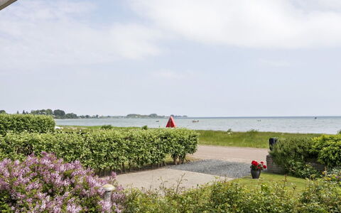Cornelius - 30M from the Sea: Kust, Kust, Landscaping, Haag