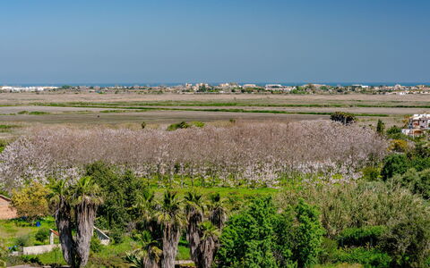 Los Delfines: Appartement, Meubilair, Woongebied, Balkon, Condominium, Stoel, Schaduw, Toevlucht, Kust, Hotel