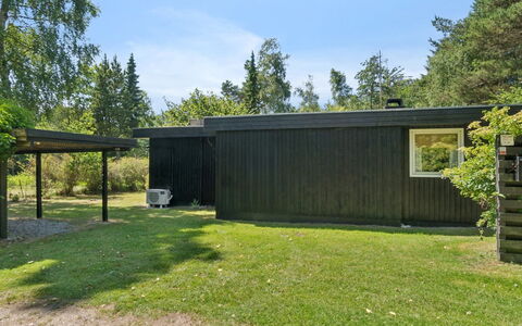 Tatyana - 1.6Km from the Sea: Landgoed, Schaduw, Oprit, Boerderij