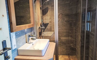 Accommodatie:&nbsp;Dachsteinblick 100.1