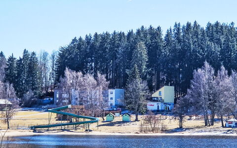 Lakeview Luxury Lodge & Garden: Boom, Winter, Sneeuw, Freezing, Lariks, Evergreen, Pine Family