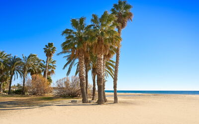 Cambrils 643: Blauw, Strand, Zomer, Landschap, Zand, Kust, Trunk, Zee, Tropen, Kust En Oceanic Landvormen