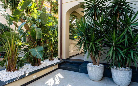 Libeccio: Woongebied, Struik, Dak, Huis, Verblijf, Oprit, Landgoed, Siding, Landscaping, Werf