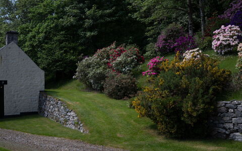 Farmburn Bothy: Gras, Blad, Struik, Landschap, Tuin, Plantengemeenschap, Verblijf, Groundcover, Stenen Muur