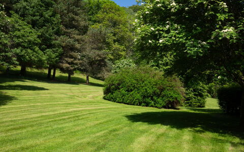 Farmburn Bothy: Groen, Gras, Boom, Natuurlijke Omgeving, Blad, Natuur, Struik, Natuurlijk Landschap, Grasland, Tuin
