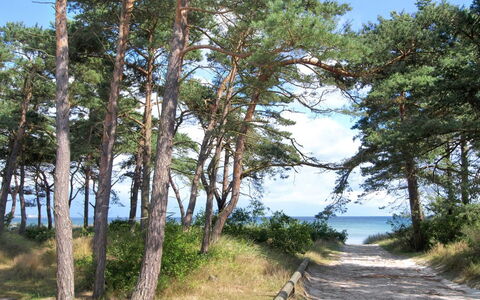 Felicia - 200M from the Sea: Gebouw, Huis, Venster, Huis, Dak, Woongebied, Struik, Verblijf, Land Lot