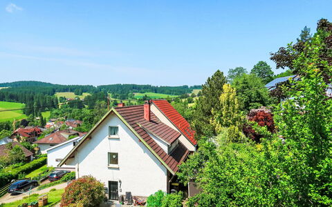 Blackforest Birdnest: Groen, Huis, Struik, Verblijf, Dak, Huis, Landelijk Gebied, Dorp, Boerderij, Tuin