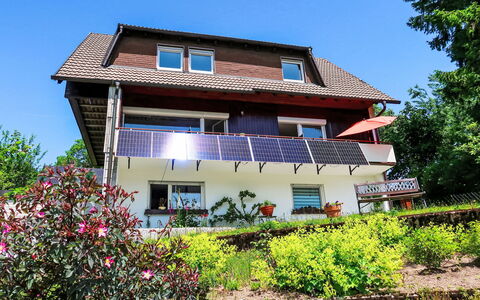 Blackforest Birdnest: Gebouw, Huis, Struik, Dak, Huis, Woongebied, Verblijf, Land Lot, De Lente