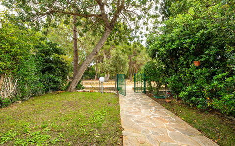 Casa ai Mandorli: Blad, Vegetation, Struik, Tuin, Trail, Schaduw, De Lente, Gang, Woody Plant, Zonlicht