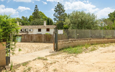 Casa ai Mandorli: Boom, Landelijk Gebied, Land Lot, Hek, Dorp, Landgoed, Bodem, Home Schermen, Backyard, Boerderij