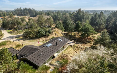 Nimrod - 800M from the Sea: Dak, Huis, Verblijf, Landelijk Gebied, Helling, Landscaping, Lariks, Evergreen, Pine Family
