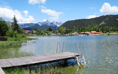 Bergnest