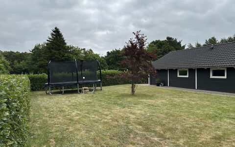 Truels - 30Km from the Sea: Gras, Gazon, Tuin, Schaduw, Backyard, Werf, Landscaping, Garden Gebouwen, Park, Schuur