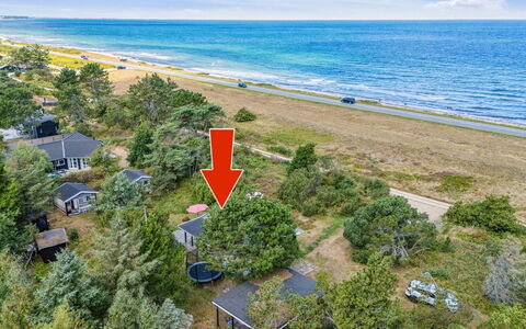 Kaj - 75M from the Sea: Vegetation, Struik, De Lente, Verblijf, Tuin, Schaduw, Backyard, Werf, Stoel