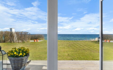 Dimo - 20M from the Sea: Gras, Grasland, Land Lot, Verblijf, Landelijk Gebied, Weide, Garden Gebouwen, Tuin, Schuur
