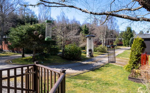 Lodge 8: Boom, Struik, Tuin, Gazon, Landscaping, Park, Werf, Backyard, Gang, Evergreen