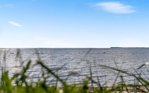 Ørn - 5M from the Sea: Landgoed, Schaduw, Oprit, Boerderij