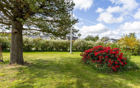 Winona - 250M from the Sea: Vegetation, Struik, De Lente, Verblijf, Tuin, Schaduw, Backyard, Werf, Stoel