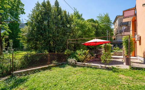 San Marco: Struik, Tuin, Backyard, Werf, Gazon, Schaduw, Landscaping, Hek, Kamerplant, Hacienda