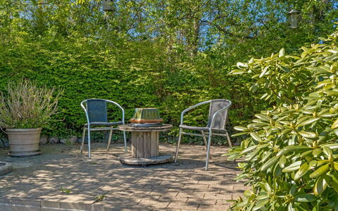 Welma - 200M from the Sea: Groen, Blad, Vegetation, Buitenmeubels, Meubilair, Struik, Plantengemeenschap, Tuin, Schaduw
