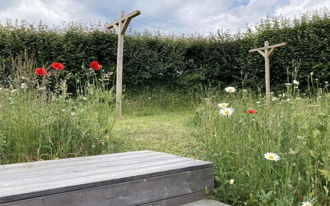Valia - 20M from the Sea: Gras, Grasland, Land Lot, Verblijf, Landelijk Gebied, Weide, Garden Gebouwen, Tuin, Schuur