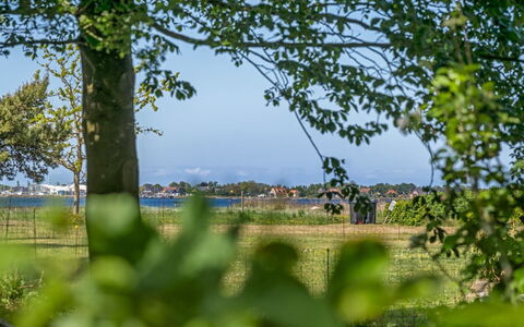 Nnykka - 125M from the Sea: Landgoed, Schaduw, Oprit, Boerderij