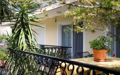 Accommodatie:&nbsp;Pintar 185.1