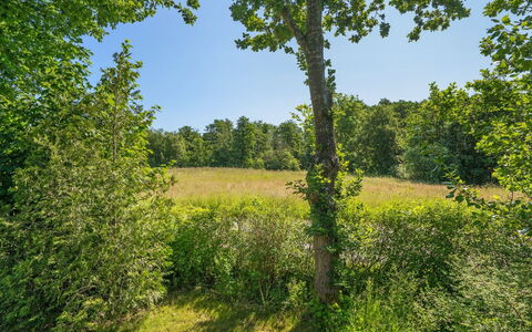 Steffenie - 250M from the Sea: Hout, Huis, Veranda, Dek, Hardwood, Dak, Beits, Houten Vloer, Eco Hotel