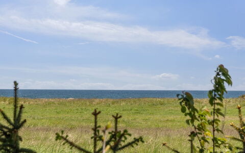 Naina - 200M from the Sea: Blauw, Struik, Verblijf, Groundcover, Tuin, Landgoed, Schaduw, Landscaping, Boerderij, Eco Hotel