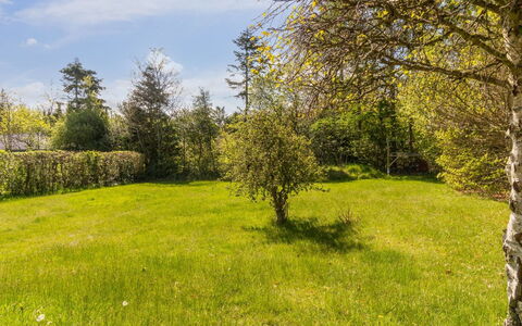 Naina - 200M from the Sea: Blauw, Struik, Verblijf, Groundcover, Tuin, Landgoed, Schaduw, Landscaping, Boerderij, Eco Hotel