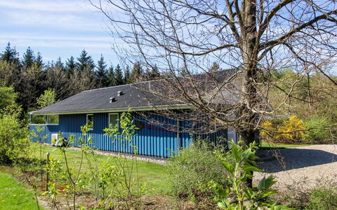 Alia - 30Km from the Sea: Landgoed, Schaduw, Oprit, Boerderij