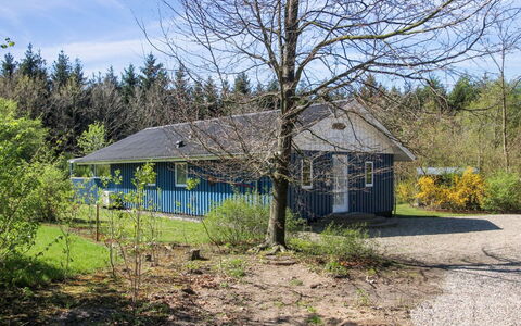 Alia - 30Km from the Sea: Landgoed, Schaduw, Oprit, Boerderij