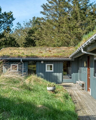 Markvor - 700M from the Sea