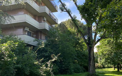 Suite Vogel: Vegetation, Struik, Appartement, Tuin, Condominium, Landscaping, Evergreen
