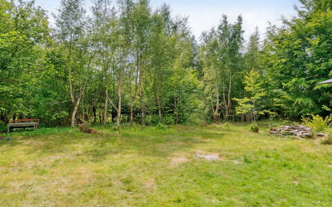 Fridborg - 425M from the Sea: Vegetation, Struik, De Lente, Verblijf, Tuin, Schaduw, Backyard, Werf, Stoel