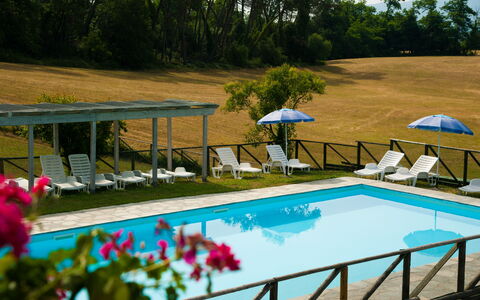 Green Hills 13: Zwembad, Buitenmeubels, Meubilair, Toevlucht, Ligstoel, Vrije Tijd, Linens, Eco Hotel, Hotel, Paraplu