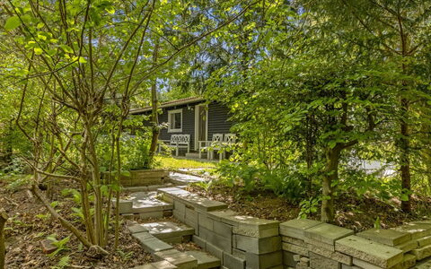 Afke - 660M from the Sea: Struik, Tuin, Groundcover, Gang, Schaduw, Backyard, Landscaping, Garden Gebouwen, Werf, Plank