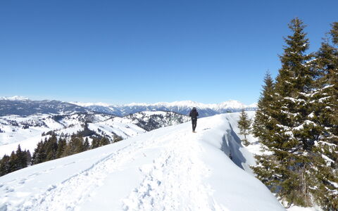 Design Loft, Romantic Retreat, Feltre: Lucht, Sneeuw, Berg, Bergachtig Landvormen, Winter, Bergketen, Glacial Landform, Terrein, Wildernis