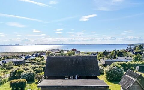 Minza - 150M from the Sea: Landgoed, Schaduw, Oprit, Boerderij
