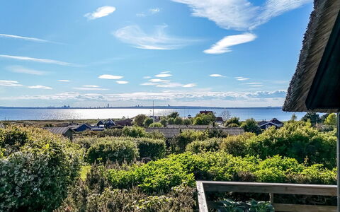 Minza - 150M from the Sea: Landgoed, Schaduw, Oprit, Boerderij