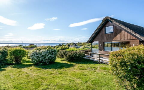 Minza - 150M from the Sea: Landgoed, Schaduw, Oprit, Boerderij